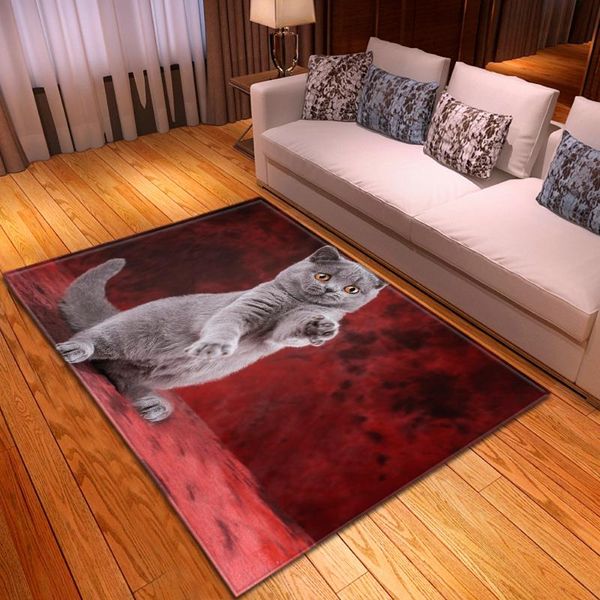 carpets cartoon child 3d print for living room bedroom decor soft carpet kids play area rugs baby crawl antiskid floor mats
carpets cartoon child 3d print for living room bedroom decor soft carpet kids play area rugs baby crawl antiskid floor mats