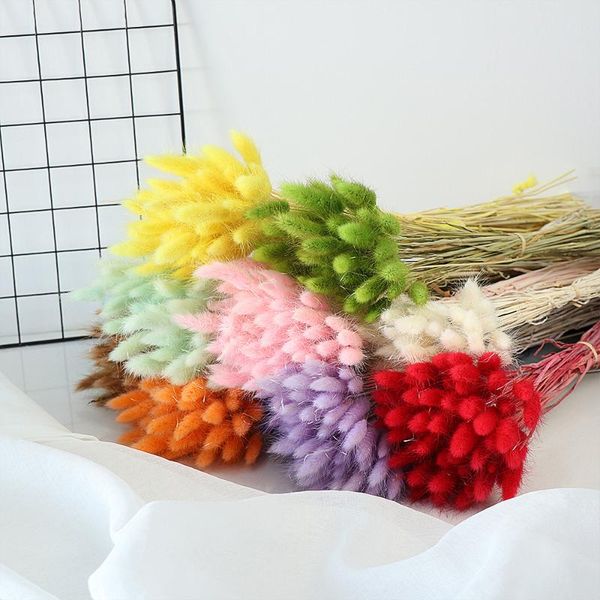 decorative flowers & wreaths 20/50pcs/bunch pastoral style really bouquet natural tail grass dried shooting props home decor supplies
decorative flowers & wreaths 20/50pcs/bunch pastoral style really bouquet natural tail grass dried shooting props home decor supplies