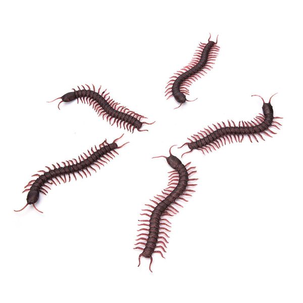 5pcs/lot simulation centipede model fake insect bug toy wholesales practical gags jokes horror halloween props tricks
5pcs/lot simulation centipede model fake insect bug toy wholesales practical gags jokes horror halloween props tricks