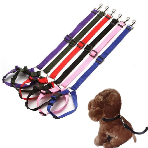 pet dog car safety belt adjustable lead leash harness for small dogs kitten supplies accessories puppy seat collars & leashes
pet dog car safety belt adjustable lead leash harness for small dogs kitten supplies accessories puppy seat collars & leashes