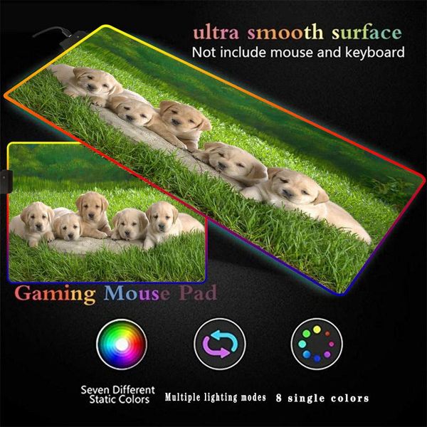 mouse pads & wrist rests cute dog animal rgb gaming pad large gamer computer mousepad led keyboard desk pc mause lapmat multiple size
mouse pads & wrist rests cute dog animal rgb gaming pad large gamer computer mousepad led keyboard desk pc mause lapmat multiple size