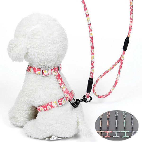 cute breathable cat dog collars and harnesses japanese style adjustable pet harness for small medium dogs cats puppy arnes perro & leashes
cute breathable cat dog collars and harnesses japanese style adjustable pet harness for small medium dogs cats puppy arnes perro & leashes