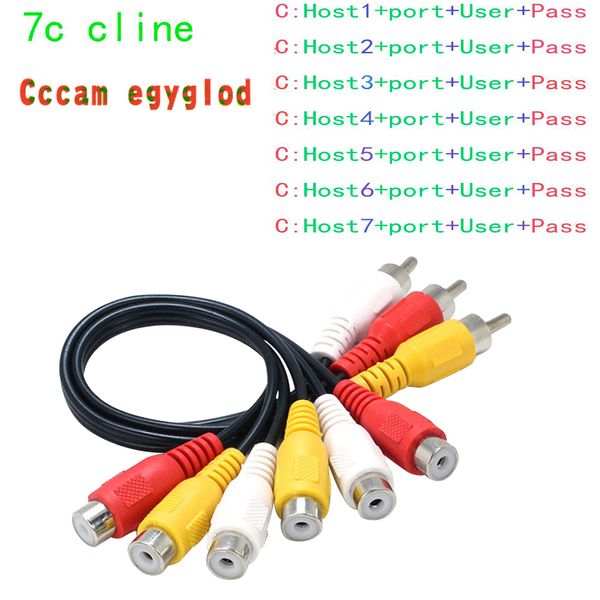 egygold cccam av hd transmission line suitable for 1 year server in portugal, germany, italy, poland and europe
egygold cccam av hd transmission line suitable for 1 year server in portugal, germany, italy, poland and europe