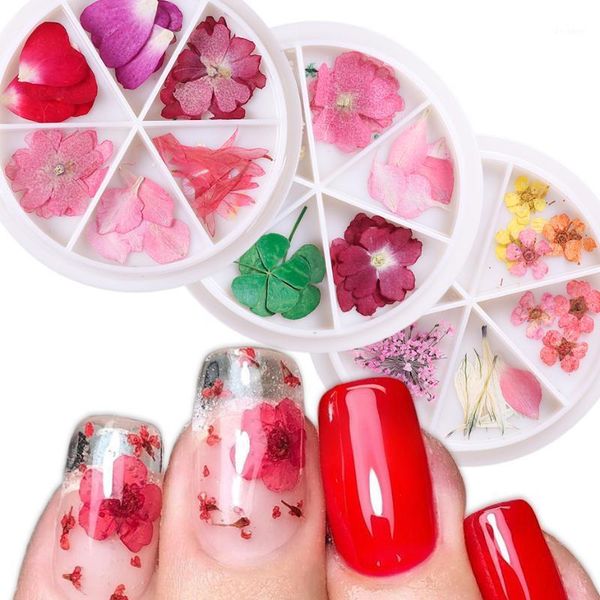 25pcs dried flowers nail art decoration daisy leaf spring valentine accessories for manicure natural flower jewelry le15591, Silver;gold
25pcs dried flowers nail art decoration daisy leaf spring valentine accessories for manicure natural flower jewelry le15591, Silver;gold