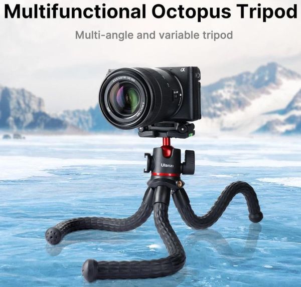 mt-33 multifunctional flexible tripod dslr smartphone camera phone mount with cold shoe bracket tripods
mt-33 multifunctional flexible tripod dslr smartphone camera phone mount with cold shoe bracket tripods