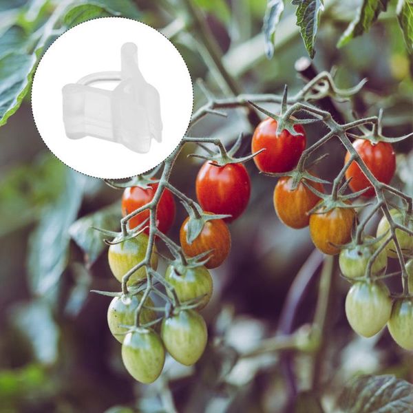 other garden supplies 200 pcs plant grafting clamp clips straightening 
other garden supplies 200 pcs plant grafting clamp clips straightening