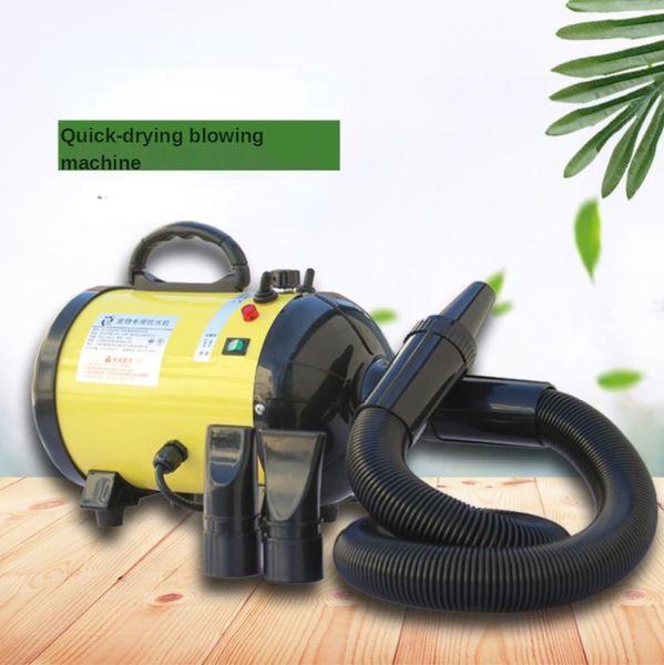 electric hair brushes 1200w pet water blower large dog blow dryer adjustable temperature high power low noise teddy golden
electric hair brushes 1200w pet water blower large dog blow dryer adjustable temperature high power low noise teddy golden