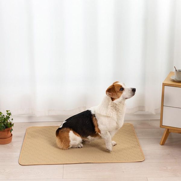 kennels & pens dogs washable diaper pet urine absorbent reusable mat pads puppy training reuse changing pad large dog anti-slip piss mats
kennels & pens dogs washable diaper pet urine absorbent reusable mat pads puppy training reuse changing pad large dog anti-slip piss mats