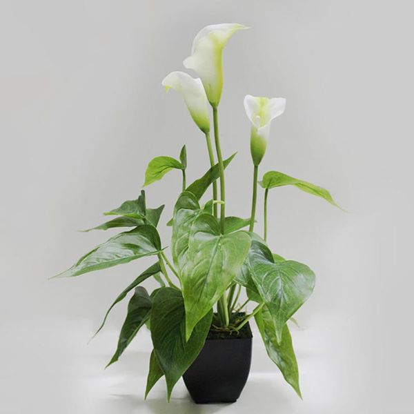 decorative flowers & wreaths simulation calla lily plant bonsai artificial branch potted decor wedding party home decoration ornaments
decorative flowers & wreaths simulation calla lily plant bonsai artificial branch potted decor wedding party home decoration ornaments