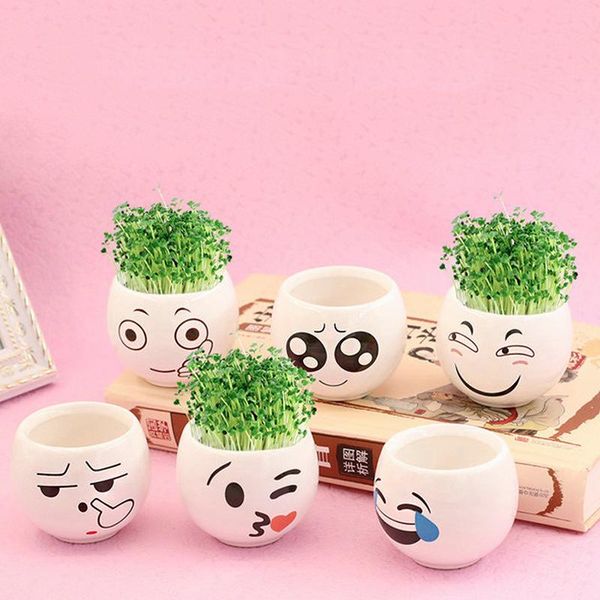 decorative flowers & wreaths cute polar /bear blue monkey ceramic flower pot small cartoon planter succulent plants bonsai cactus home garde
decorative flowers & wreaths cute polar /bear blue monkey ceramic flower pot small cartoon planter succulent plants bonsai cactus home garde