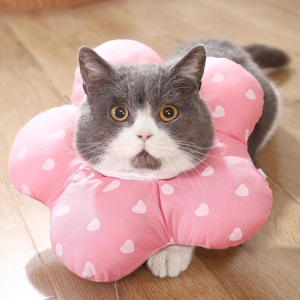 cat collars & leads 1 pc size s 13-22cm adjustable elizabethan collar supplies anti biting licking shame pet neck cover fit for within 2.5 k
cat collars & leads 1 pc size s 13-22cm adjustable elizabethan collar supplies anti biting licking shame pet neck cover fit for within 2.5 k