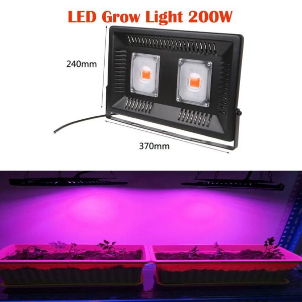 grown flood light ip65 30w 50w 100w full spectrum led grow lamp outdoor waterproof for greenhouse seeds pants lights
grown flood light ip65 30w 50w 100w full spectrum led grow lamp outdoor waterproof for greenhouse seeds pants lights