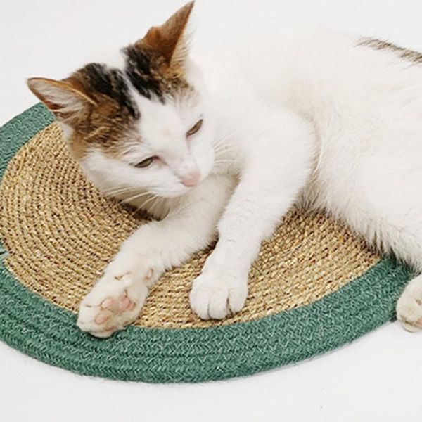 cat beds cats scratcher sleep mats scratch pad pet bed accesorios para gatos sofa protector for & furniture
cat beds cats scratcher sleep mats scratch pad pet bed accesorios para gatos sofa protector for & furniture