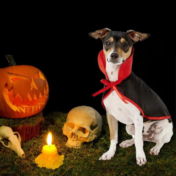 cat costumes 1 set halloween pets cosplay costume dog puppy cloak wizard peaked hat party festival supplies pet accessories
cat costumes 1 set halloween pets cosplay costume dog puppy cloak wizard peaked hat party festival supplies pet accessories