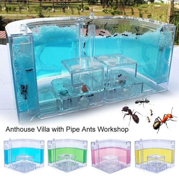 ant farm pet toy colorful transparent art specially villa nest ants house 10.8cm insect feeding area habitat funny small animal supplies
ant farm pet toy colorful transparent art specially villa nest ants house 10.8cm insect feeding area habitat funny small animal supplies