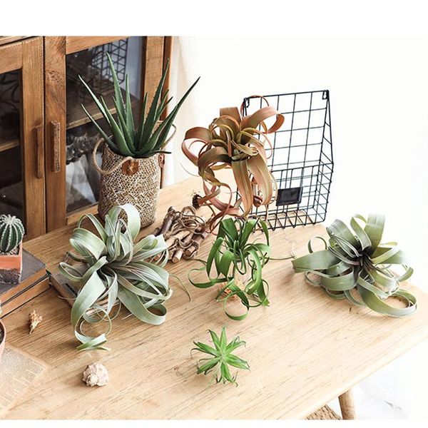 decorative flowers & wreaths home decor artificial simulated pineapple leaf plant christmas wedding decoration indoor tableornamental pl
decorative flowers & wreaths home decor artificial simulated pineapple leaf plant christmas wedding decoration indoor tableornamental pl