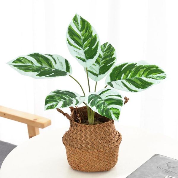 decorative flowers & wreaths artificial plants potted bonsai fake leaf arrowroot home room indoors table ornament garden decor
decorative flowers & wreaths artificial plants potted bonsai fake leaf arrowroot home room indoors table ornament garden decor