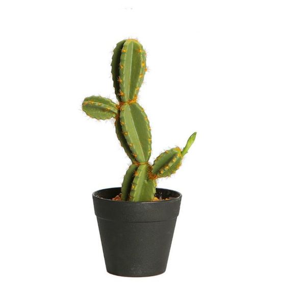 decorative flowers & wreaths artificial fairy column bonsai simulation cactus prickly pear and other tropical desert plants b
decorative flowers & wreaths artificial fairy column bonsai simulation cactus prickly pear and other tropical desert plants b