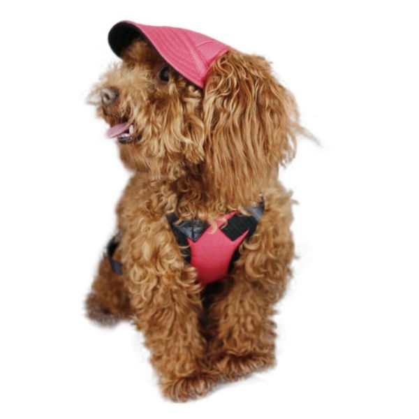 dog apparel pet hat holes canvas baseball cap 10 styles- summer casual outdoor hiking accessories
dog apparel pet hat holes canvas baseball cap 10 styles- summer casual outdoor hiking accessories