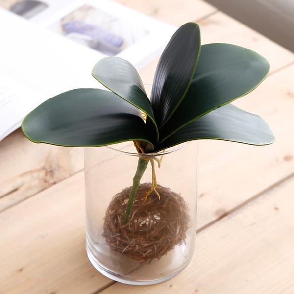 decorative flowers & wreaths artificial plants phalaenopsis leaf home garden decoration accessories shop decor tablewedding leaves
decorative flowers & wreaths artificial plants phalaenopsis leaf home garden decoration accessories shop decor tablewedding leaves