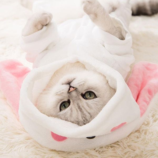 christmas pet cat costumes small cats clothes dogs year vetement pour chat kitten outfits winter for dog apparel
christmas pet cat costumes small cats clothes dogs year vetement pour chat kitten outfits winter for dog apparel