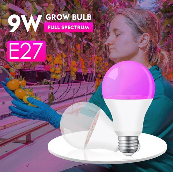 grow lights 85-265 v led lamp full spectrum plant growth indoor lighting plants e27 hydroponic system box
grow lights 85-265 v led lamp full spectrum plant growth indoor lighting plants e27 hydroponic system box