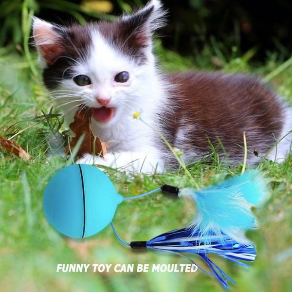 cat toys teasing toy multi-function laser controls light and spheres funny usb electric led glow ball with feathers pet supplies
cat toys teasing toy multi-function laser controls light and spheres funny usb electric led glow ball with feathers pet supplies