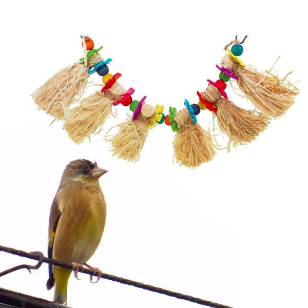 other bird supplies colorful acrylic string of beads parrot gnawing toys chewing bite cage
other bird supplies colorful acrylic string of beads parrot gnawing toys chewing bite cage