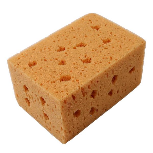 car sponge creative absorbent coral truck cleaner washer tool macroporous washing multipurpose wash detailing
car sponge creative absorbent coral truck cleaner washer tool macroporous washing multipurpose wash detailing