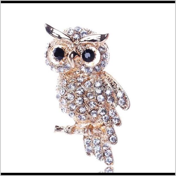 pins jewelry drop delivery 2021 fashion vision crystal owl pins brooches sier or bronze metal 5 colors for choice brooch pin ps2976 h4gcs, Gray
pins jewelry drop delivery 2021 fashion vision crystal owl pins brooches sier or bronze metal 5 colors for choice brooch pin ps2976 h4gcs, Gray