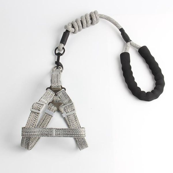 dog collars & leashes 2021 elastic traction belt rope set leash pet run with keeper pets sport hand multifunctional
dog collars & leashes 2021 elastic traction belt rope set leash pet run with keeper pets sport hand multifunctional