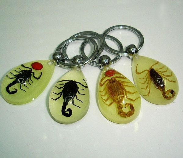 keychains luminous real scorpion key chain - product crab and keychain bag car ring #1-17067, Silver
keychains luminous real scorpion key chain - product crab and keychain bag car ring #1-17067, Silver