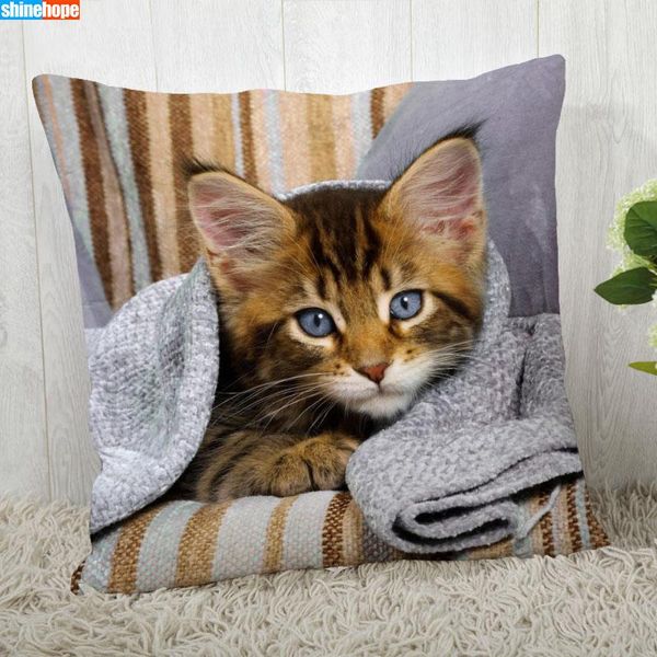 pillow case 40x40cm45x45cm cute cat cover customize pillowcase modern home decorative for living room 2021.08.17
pillow case 40x40cm45x45cm cute cat cover customize pillowcase modern home decorative for living room 2021.08.17