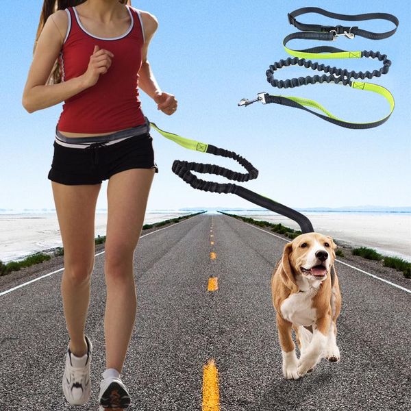 hands-running walking pet dog lead reflective adjustable puppy leash for dogs chain pets accessories correa perro collars & leashes
hands-running walking pet dog lead reflective adjustable puppy leash for dogs chain pets accessories correa perro collars & leashes
