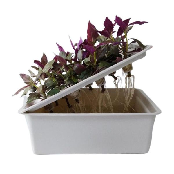 large capacity plant site hydroponic systems kit 11 holes nursery pots soilless cultivation box seedling grow planters &
large capacity plant site hydroponic systems kit 11 holes nursery pots soilless cultivation box seedling grow planters &