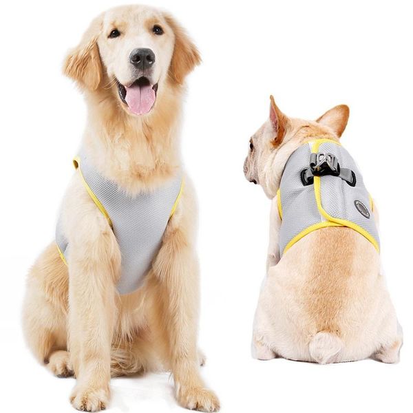 dog collars & leashes summer cooling vest harness outdoor cooler jacket adjustable pet mesh reflective harnesses quick release
dog collars & leashes summer cooling vest harness outdoor cooler jacket adjustable pet mesh reflective harnesses quick release