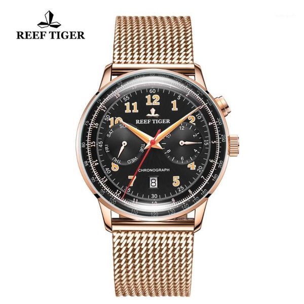 reef tiger/rt generous watches for men date waterproof rose gold steap automatic mechanical rga9122 wristwatches, Slivery;brown
reef tiger/rt generous watches for men date waterproof rose gold steap automatic mechanical rga9122 wristwatches, Slivery;brown