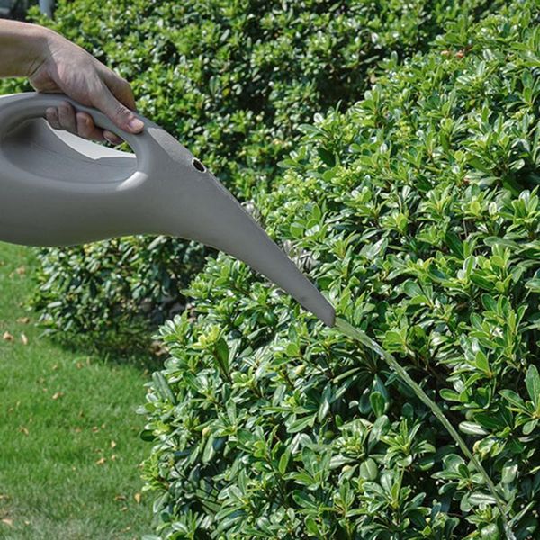 watering equipments stainless steel pot garden flower plants kettle gardening tool long mouth water can
watering equipments stainless steel pot garden flower plants kettle gardening tool long mouth water can