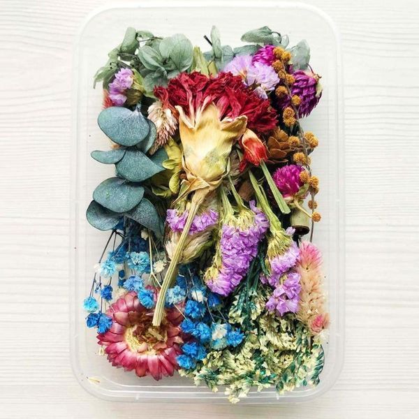 decorative flowers & wreaths 1 box natural dried flower dry plants real accessories jewelry making resin epoxy necklace craf ca
decorative flowers & wreaths 1 box natural dried flower dry plants real accessories jewelry making resin epoxy necklace craf ca