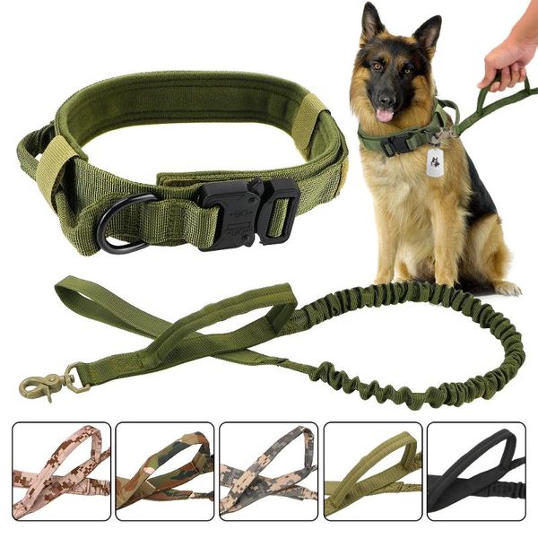 quick release dog pet rope handle leash military training leashes elastic leads tactical bungee durable collars &
quick release dog pet rope handle leash military training leashes elastic leads tactical bungee durable collars &
