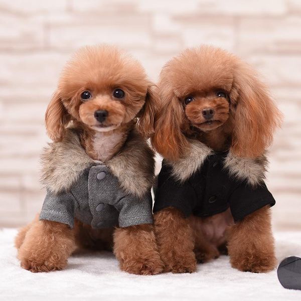 dog apparel fur collar windbreaker clothes cat suit coat hoodie pet puppy jacket for dogs costume
dog apparel fur collar windbreaker clothes cat suit coat hoodie pet puppy jacket for dogs costume