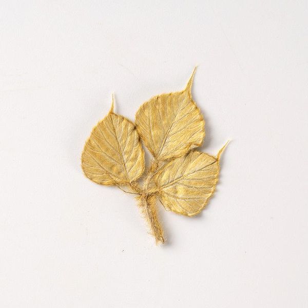 decorative flowers & wreaths 24pcs/pack pressed dried silver pueraria leaf necklace making craft case diy accessories bookmark postcard nail
decorative flowers & wreaths 24pcs/pack pressed dried silver pueraria leaf necklace making craft case diy accessories bookmark postcard nail