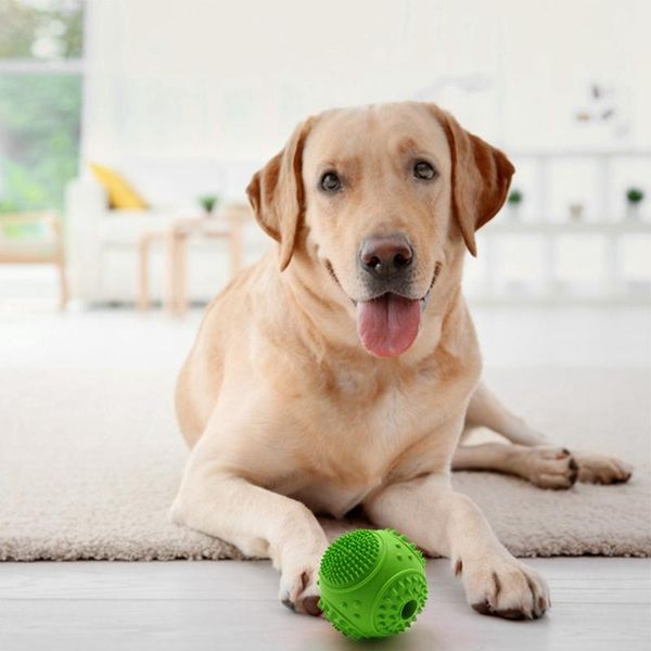 dog toys & chews pet interactive rubber ball chew toy teeth cleaning supplies rolling iq training playing
dog toys & chews pet interactive rubber ball chew toy teeth cleaning supplies rolling iq training playing