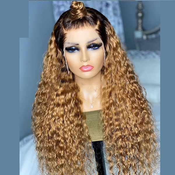 long ombre blonde curly synthetic lace front wigs for women and girl 1b 27 color 13x4 lace front wigs synthetic hair wig, Black
long ombre blonde curly synthetic lace front wigs for women and girl 1b 27 color 13x4 lace front wigs synthetic hair wig, Black
