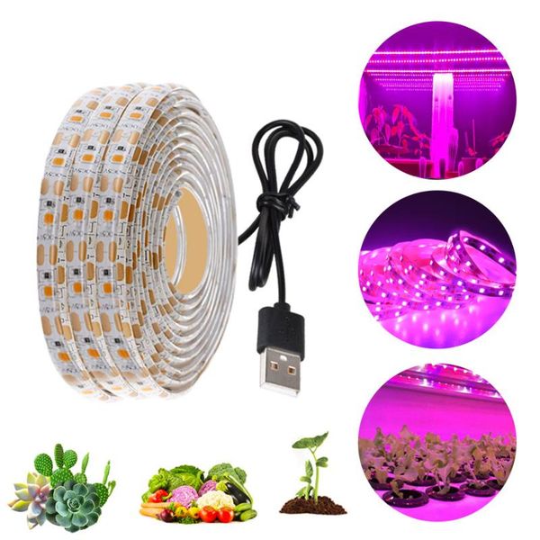 grow lights waterproof dc 5v plant growing strip light tape set with power and switch for aquarium greenhouse
grow lights waterproof dc 5v plant growing strip light tape set with power and switch for aquarium greenhouse