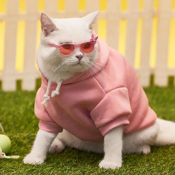 cat costumes 2021 dog clothing and sweater hooded pet coat big solid color bipod