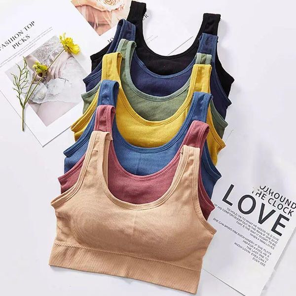 yoga outfit sports bra seamless solid color brassiere push up cotton bralette comfortable wireless underwear v back female lingerie
yoga outfit sports bra seamless solid color brassiere push up cotton bralette comfortable wireless underwear v back female lingerie