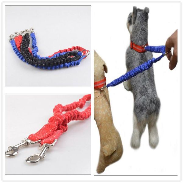 dog collars & leashes double leahses leads /w buffering effect traction rope for two dogs let's pet brand b23
dog collars & leashes double leahses leads /w buffering effect traction rope for two dogs let's pet brand b23