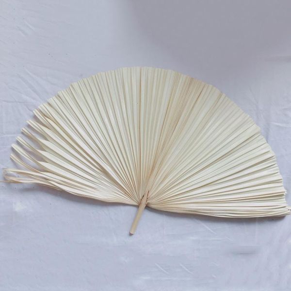 decorative flowers & wreaths natural dried sunflower leaves palm leaf for diy wedding decoration florist flower arrangement art materials
decorative flowers & wreaths natural dried sunflower leaves palm leaf for diy wedding decoration florist flower arrangement art materials