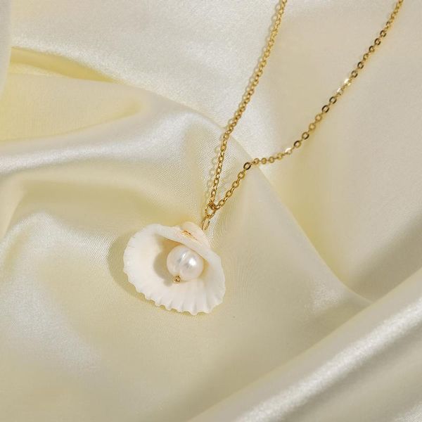 pendant necklaces 316l stainless steel chain shell pearl necklace for women girls elegant trendy choker jewelry accessories summer, Silver
pendant necklaces 316l stainless steel chain shell pearl necklace for women girls elegant trendy choker jewelry accessories summer, Silver